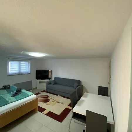 Oezkurt-2 شقة فريدريشسهافن